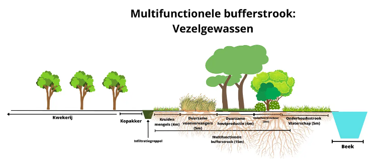 buffer-illustratie